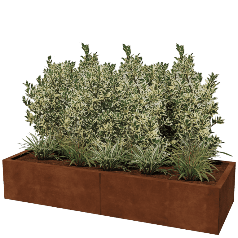 Cortenstål plantekasse XXL - Rektangel - 160 x 60 cm