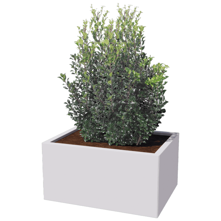 Stål plantekasse - Rektangel - 60 x 80 cm