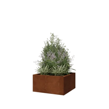 Cortenstål plantekasse - Firkant - 60 x 60 x 30 cm - Uden bundplade