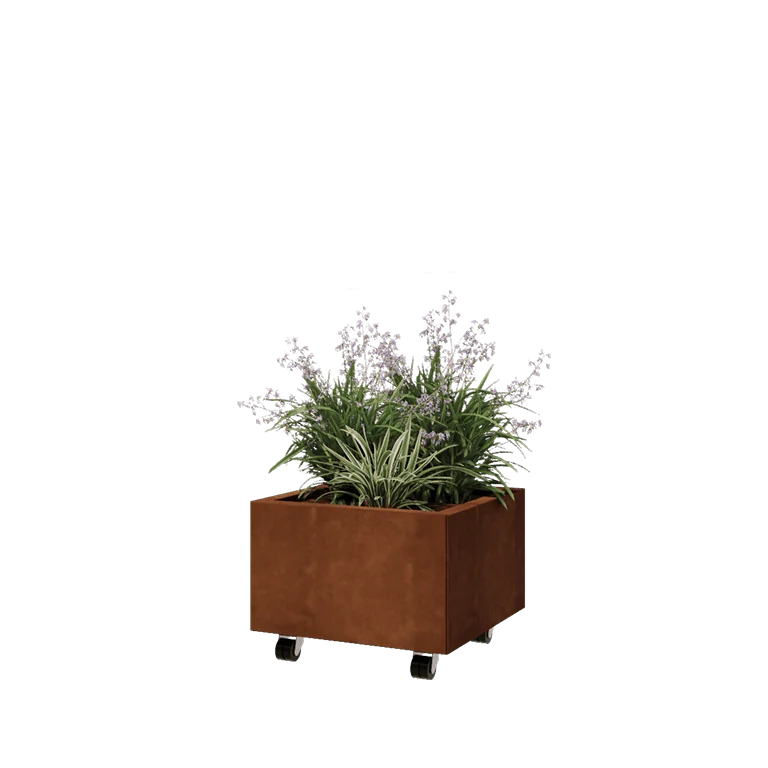 Cortenstål plantekasse - Firkant - 50 x 50 x 30 cm - Med bundplade - Met hjul
