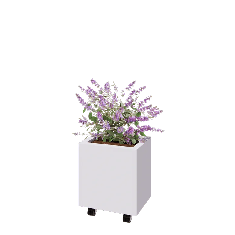 Stål plantekasse - Rektangel - 40 x 30 x 40 cm - RAL9010 mat (hvid) - Med bundplade - Met hjul